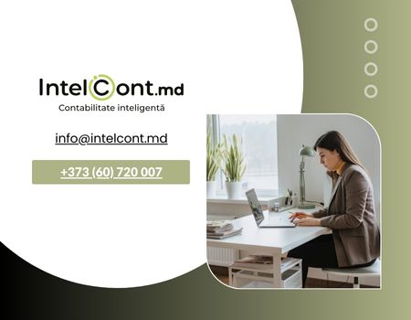 Contabil profesionist